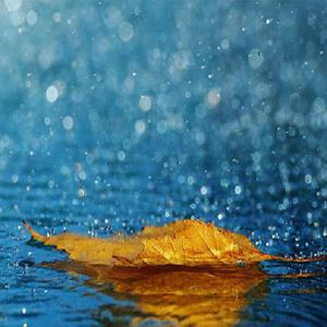 亚洲又黄又粗又长的视频
